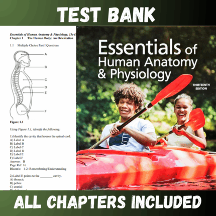 Test Bank for Essentials of Human Anatomy & Physiology, 13th edition (Elaine)  | All Chapters