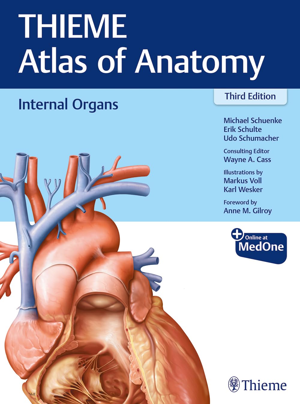 Internal Organs THIEME Atlas of Anatomy 3rd Edition