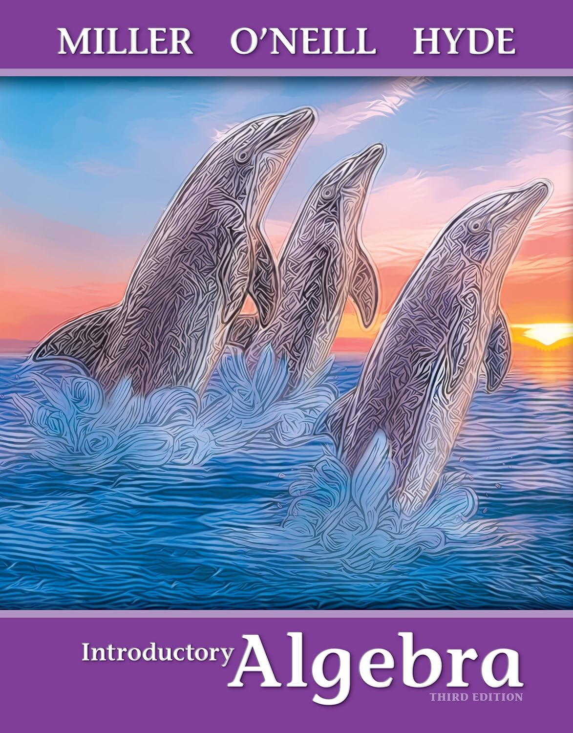 Introductory Algebra (Mathematics) 3rd Edition