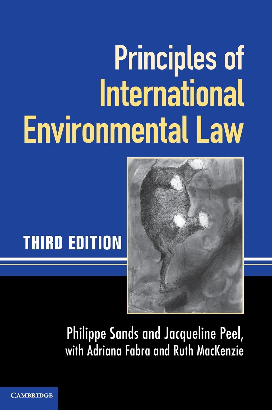 Principles of International Environmental Law 3rd Edition