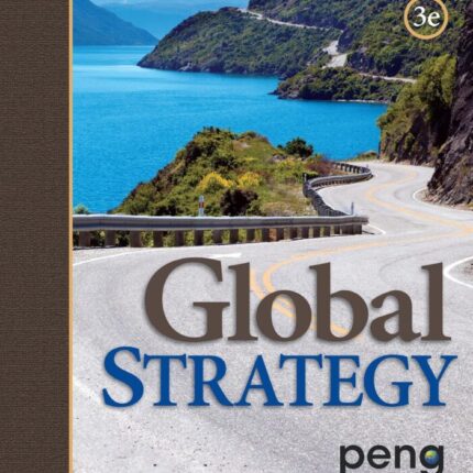 Global Strategy 3rd Edition
