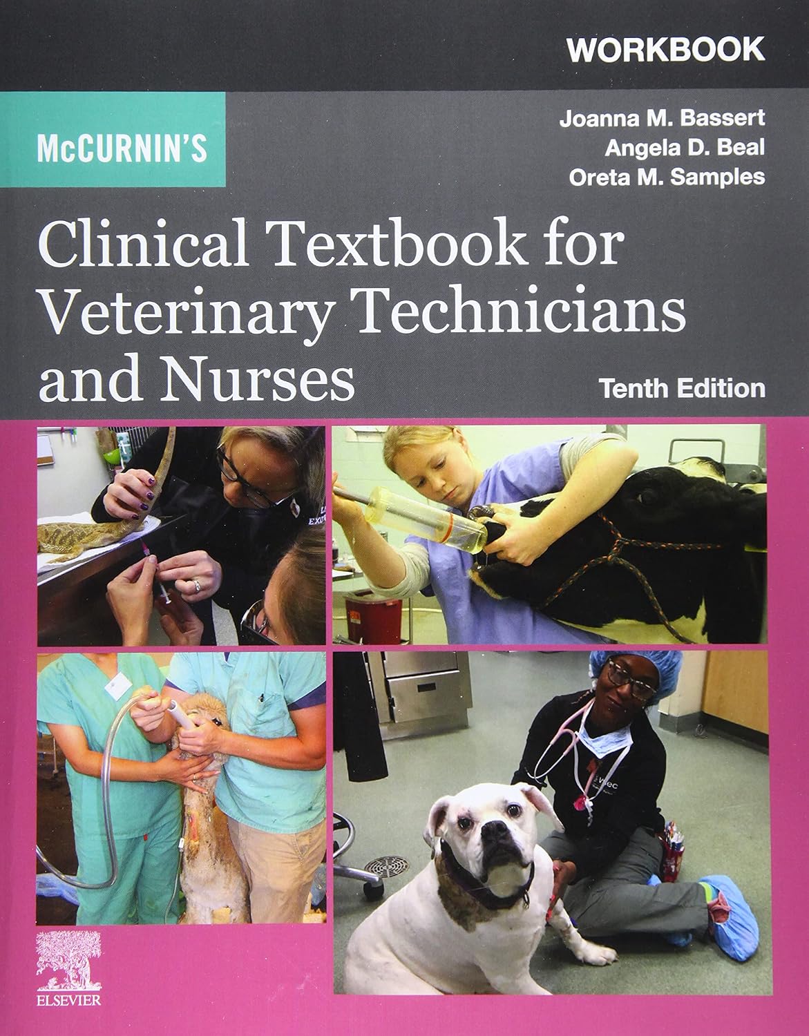 Workbook for McCurnin's Clinical Textbook for Veterinary Technicians and Nurses 10th Edition